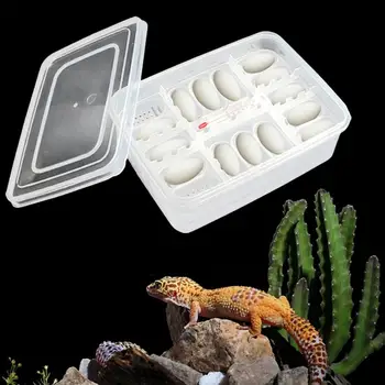 

16PCS egg hatching guard palace snake lizard climbing pet senior hatching egg tray reptile hatchery incubator incubator