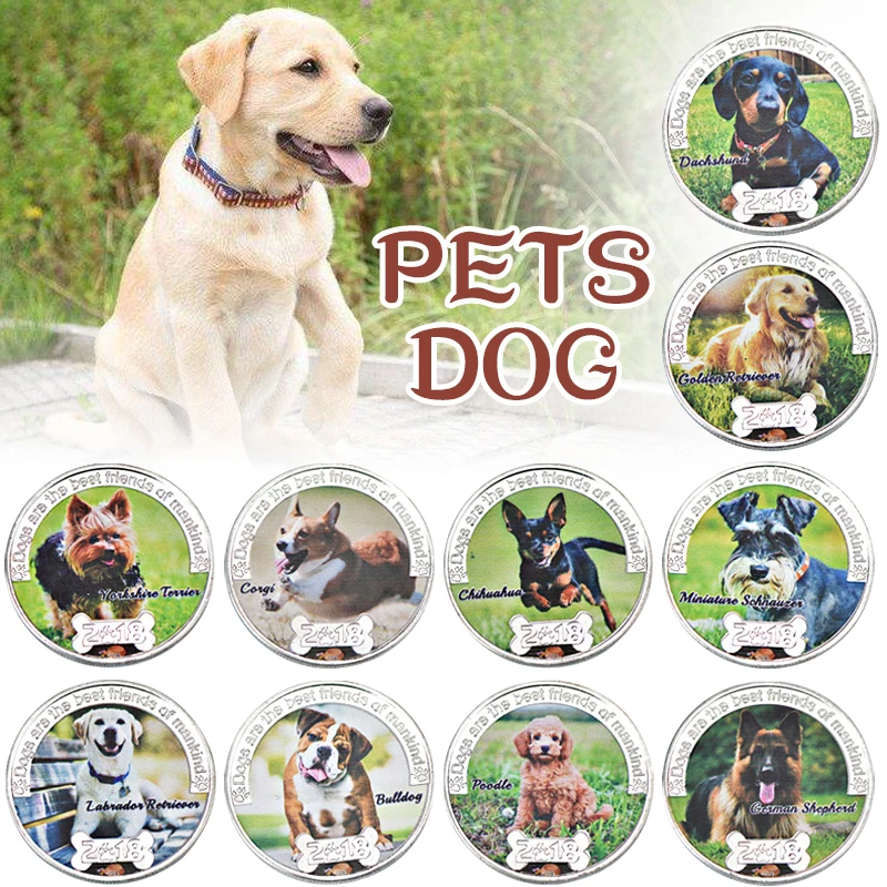 10Pcs-Pets-Dog-Silver-Coins-Collectibles-with-Coin-Holder-Animal-Double