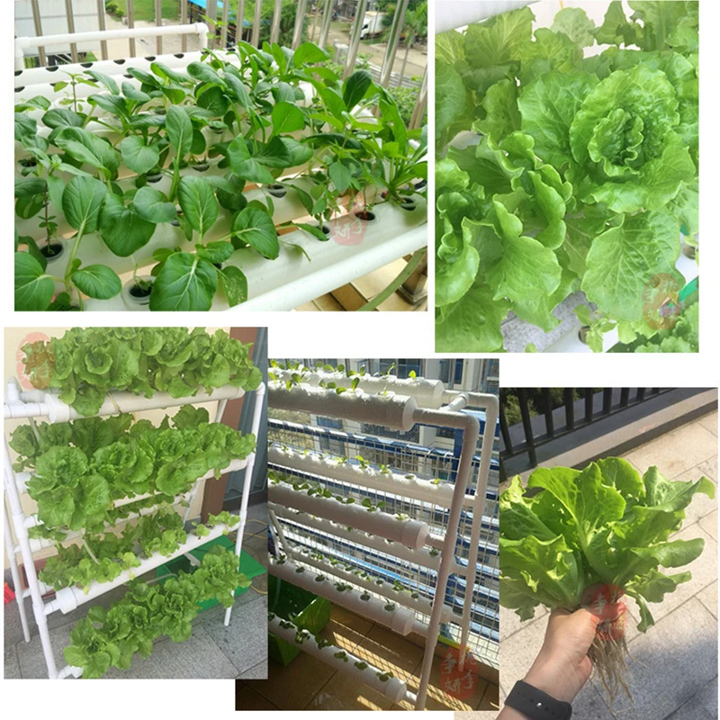 8399847012_811613736