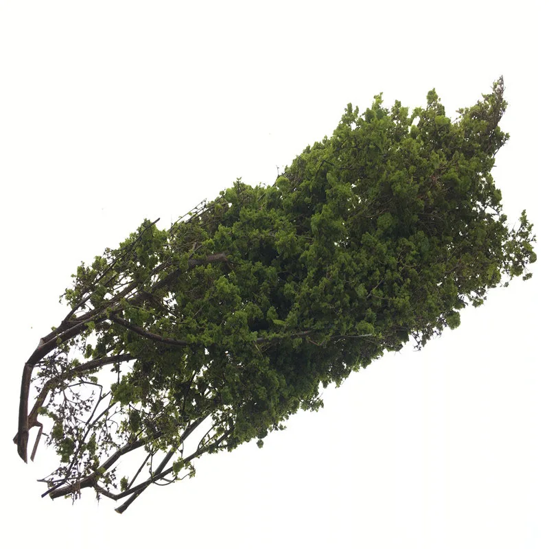 architecture tree grass train layout05