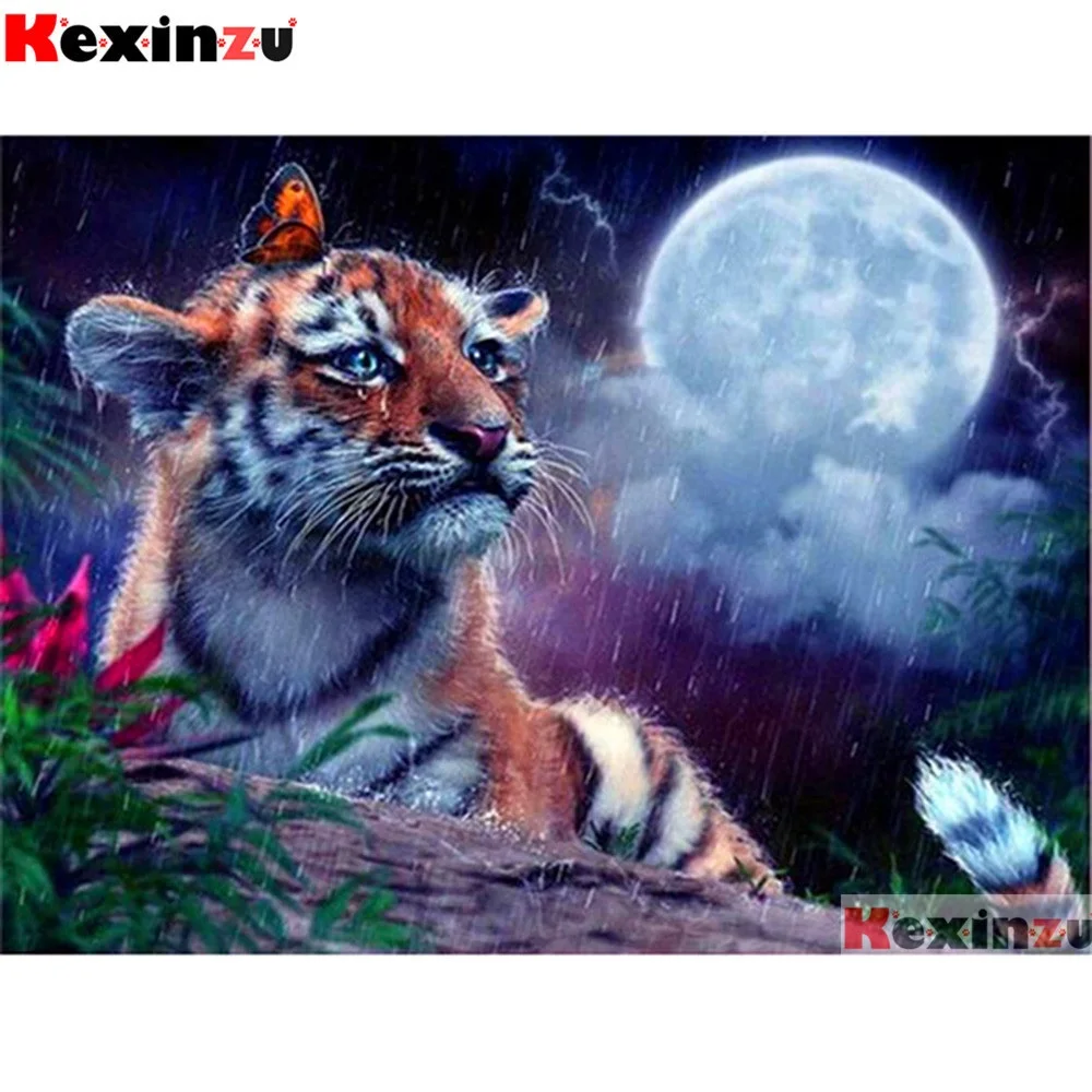 QQ截图20191127211036