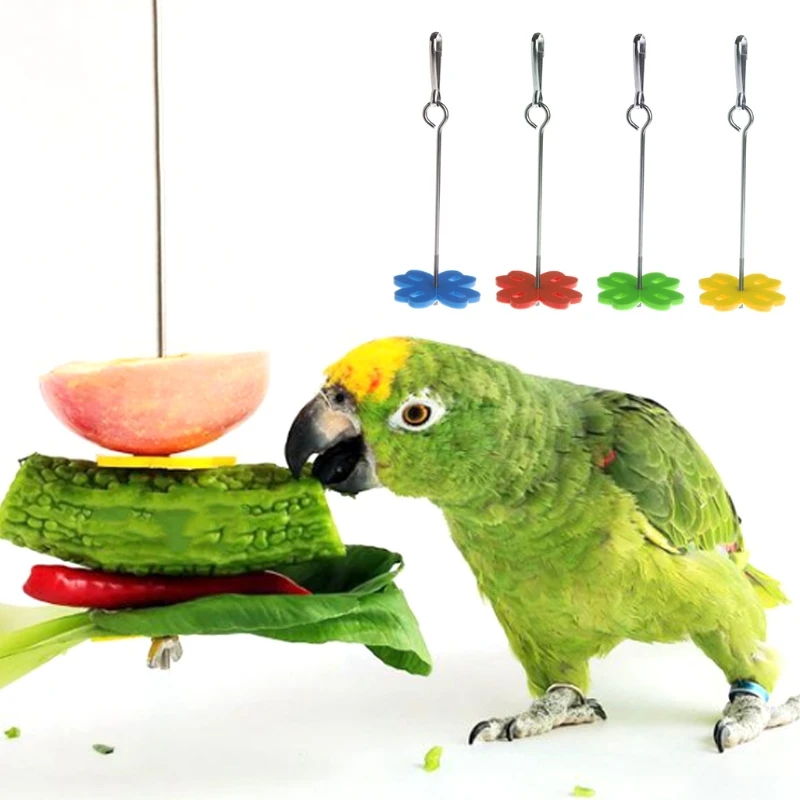 

Parrot Fruit Fork Feeding Birds Hang Cage Stainless Steel Parakeet Skewer 2 Size