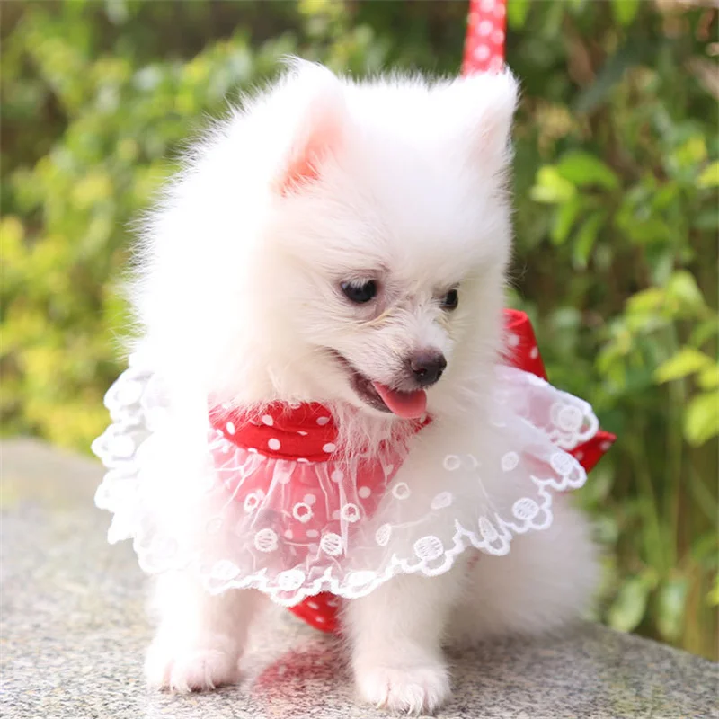 Adjustable Dog Harness Set with Leash - PeticaDeals