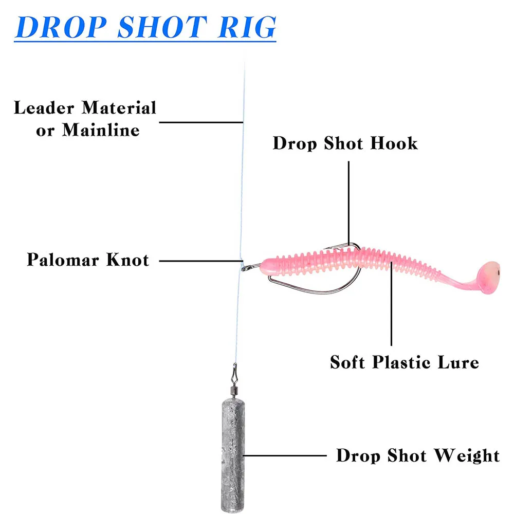 Trout Drop Shot Rig