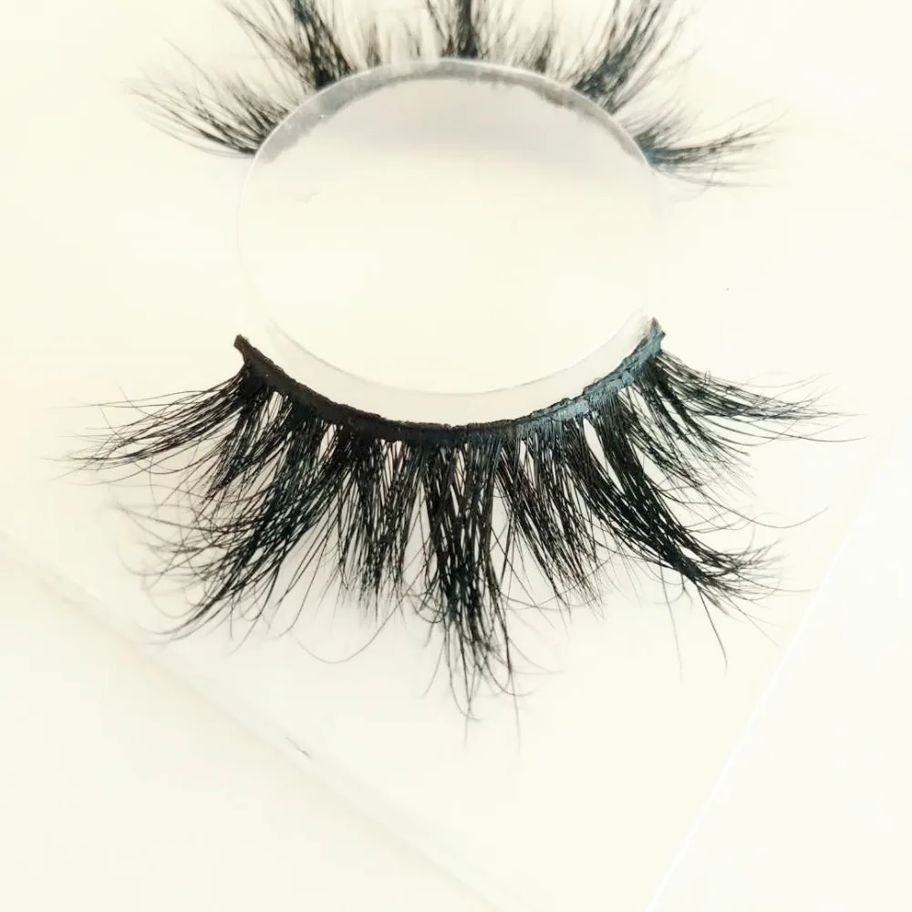 微信图片_202003051027497