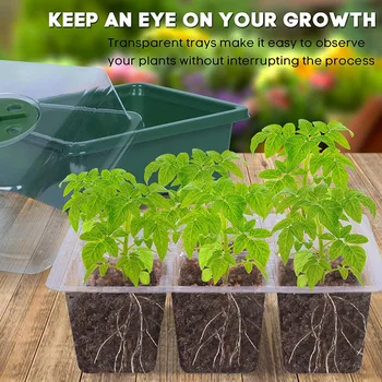 

6 Cells Hole Plant Seeds Grow Box Tray Insert Propagation Seeding Nursery Pot