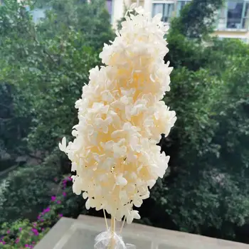 

15-18cm Head,Preserved Real Hydrangea with stem,Nature Eternell display flowers for Wedding party Home Decoration accessories