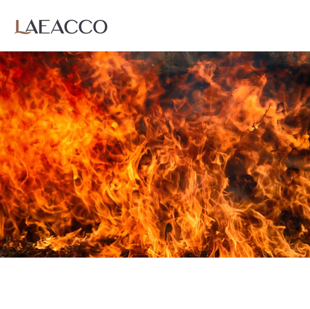 Laeacco ȭ Ÿ Ҳ   Ƽ  ʻȭ     photocall  Ʃ