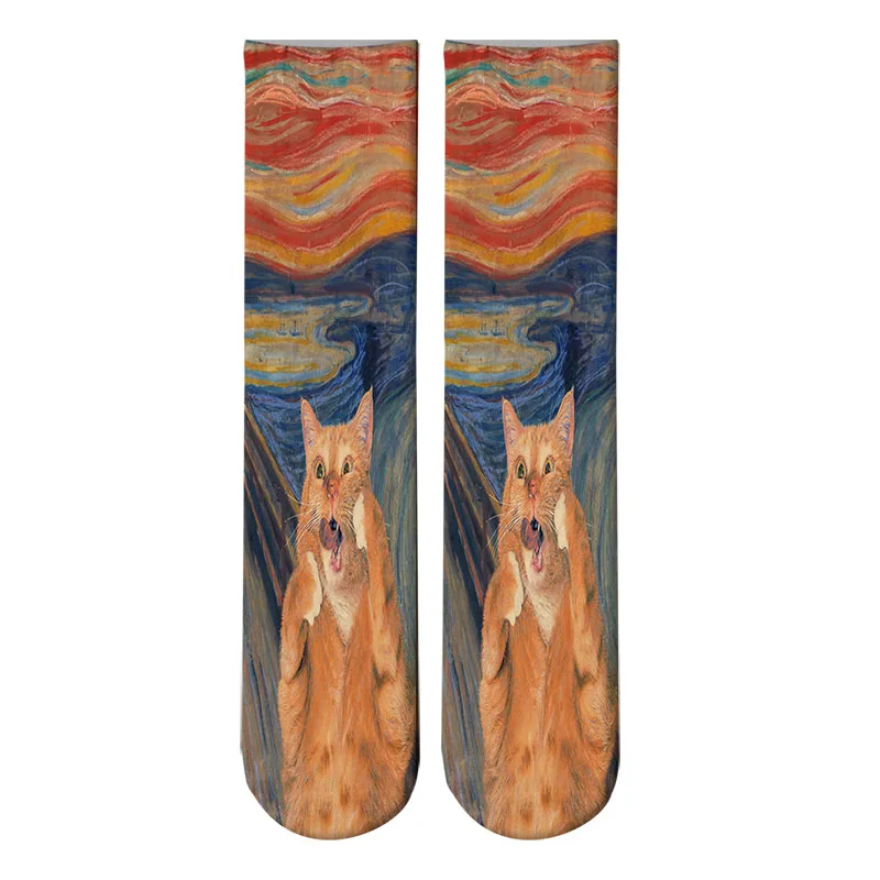 Модные носки с картинами и принтом в стиле Art Crew для женщин и мужчин Harajuku Sox Calcetine Van Gogh, новинка, забавные носки 5ZWL23 - Цвет: Style4