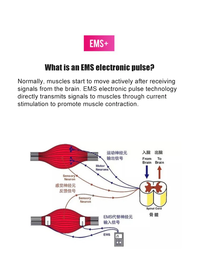 EMS Inteligente Estimulador Muscular Abdominal, Controle de