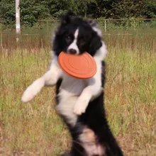 Soft-Non-SlipDog-Flying-Disc-Silicone-Game-Frisbeed-Anti-Chew-Dog-Toy-Pet-Puppy-Training-Interactive.jpg_220x220.jpg