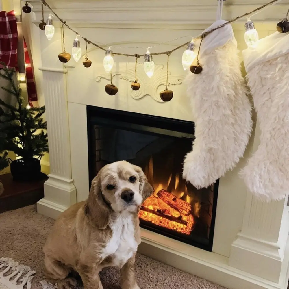 DZ227701-C-20102207-1