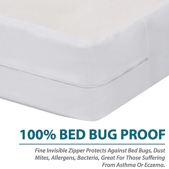 Best Bed Bug Mattress Covers