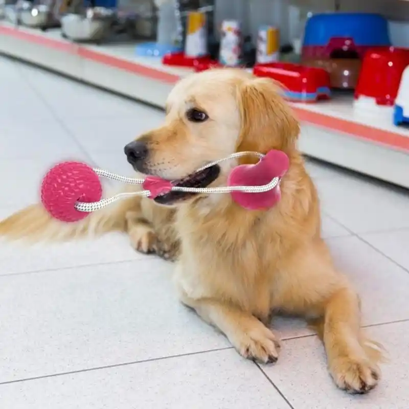 juguetes para perros de mordida fuerte