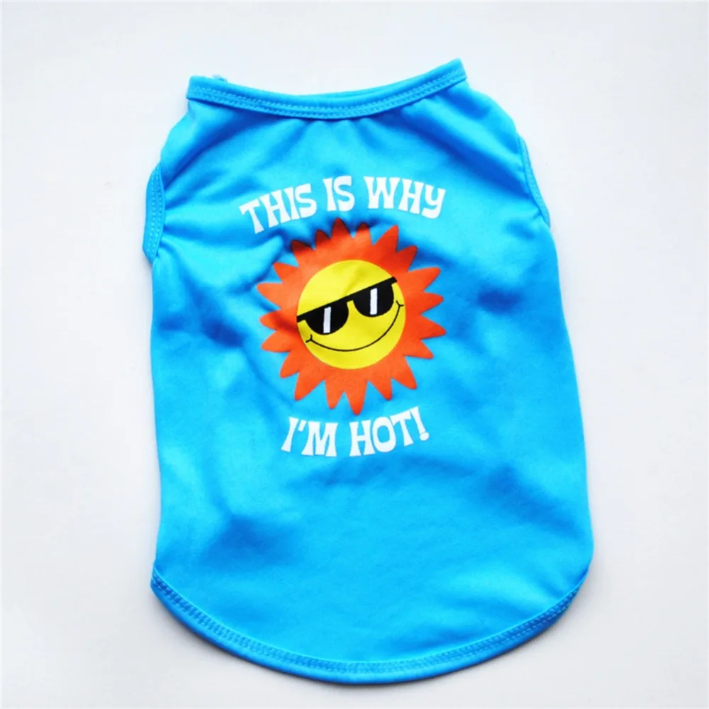 9349102447_361259826