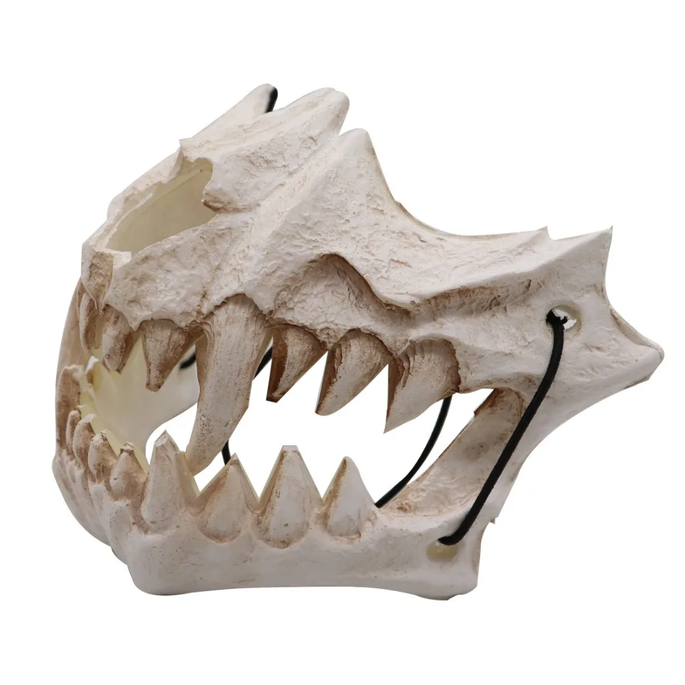 13805689923_421883003