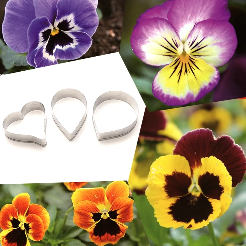 Оптовая продажа 10 комплектов (3 шт./компл. трехцветные фрезы для тортов Viola набор