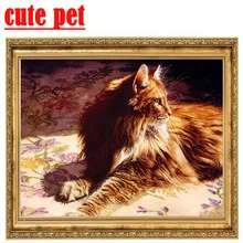 Bricolage Orange chat puzzle diamant peinture papier peint plein carré rond perceuse point de croix diamant broderie mosaïque Kits décor à la maison(China)