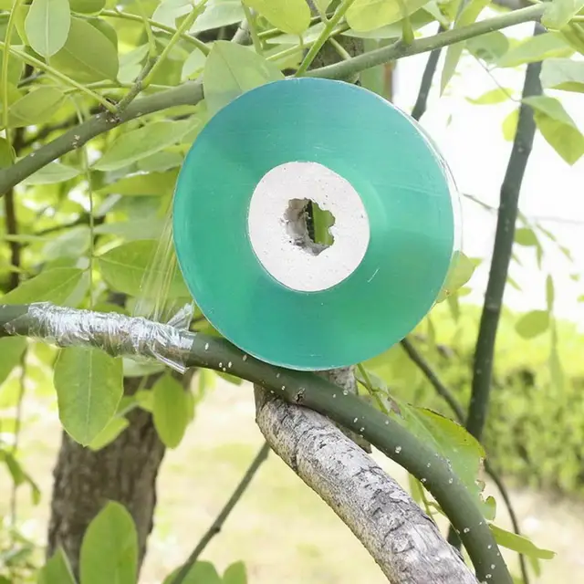 100 Mm -Es 2Mm Oltás Nyújtható Szalag Nedvességgátló Növények Javítva Az Óvodát - Image 6