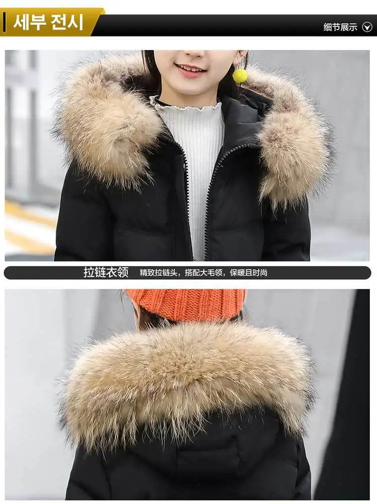 5A8B0087FE0A519A8987BA121D3B38