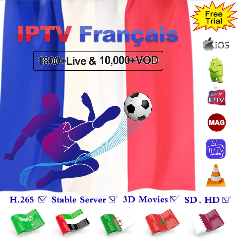

France IPTV Subscription Arabic Code IPTV France 1 Year Leadcool Smart IPTV French M3u Belgium Morocco Algeria Pk QHDTV IP TV HD