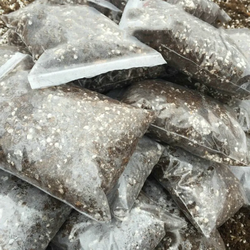 Peat Soil Peat Moss And Perlite Mixed Soil Well Drained Mix Peat And Sand Soil