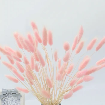 

30pcs Dried Hare Tail Grass Bunny Rabbit Lagurus Ovatus Natural Flowers Bouquet