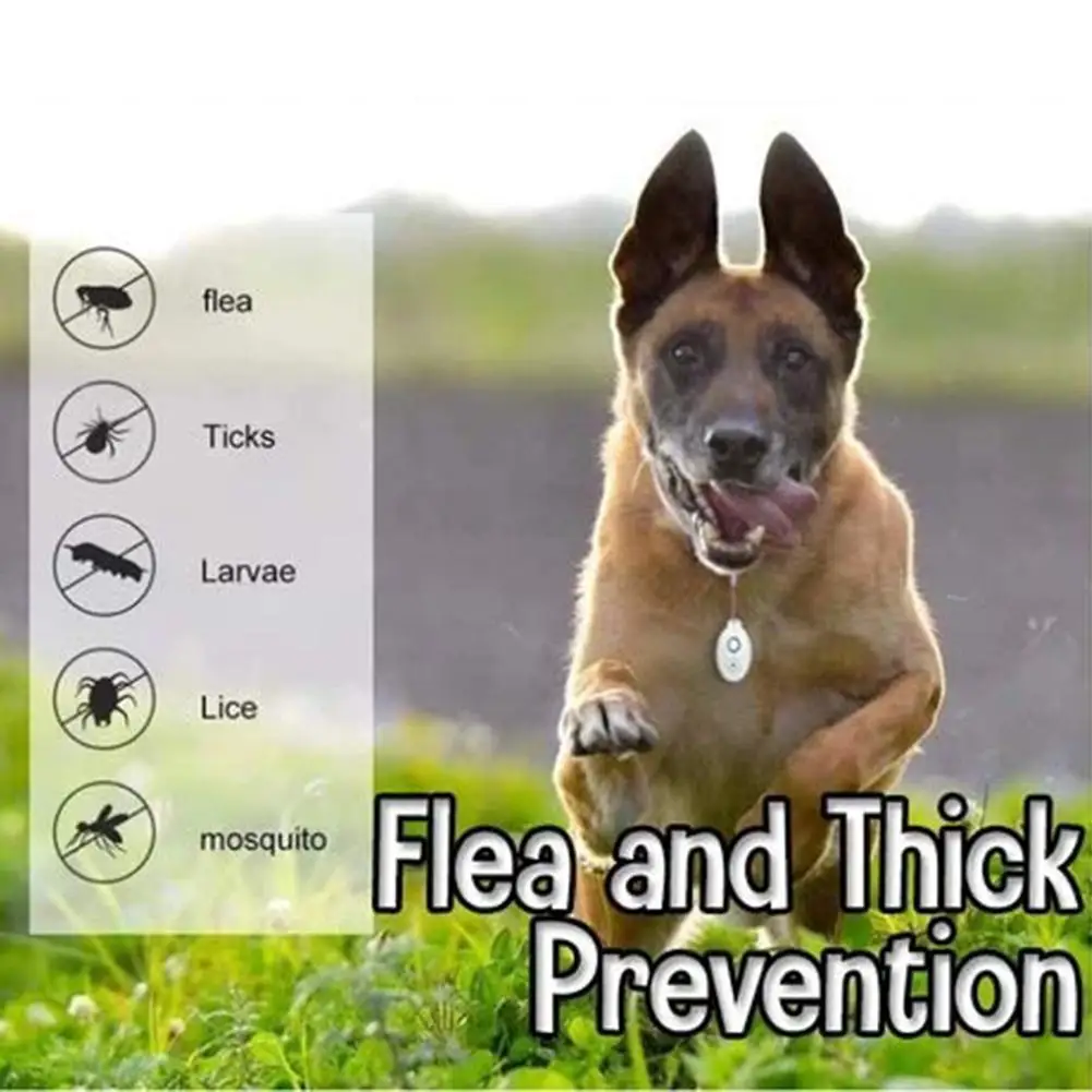 

Newly USB Flealess Ultrasonic Flea Tick Repeller Pets Supplies Multi-function Repellent Repeller Pet Insect Charging Pest L0N2