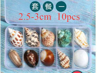 Large natural sea shells beach shell specimen for fish tank fishing net schelp nautical home decor Wedding Party Decor Crafts - Цвет: A