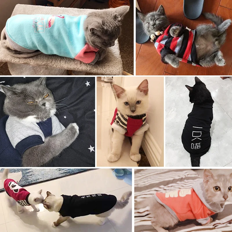 Одежда для кошек; осенне-зимнее платье с котенком; одежда для домашних кошек; осеннее платье; одежда для щенков; одежда для кошек; Сезон Зима; BB5WY036