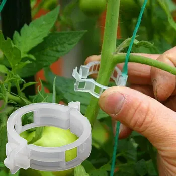 

100PC Tomato Clips Supports Plastic Trellis Connects Plants Vines Trellis Twine Cages Greenhouse Veggie Garden Plant Clip