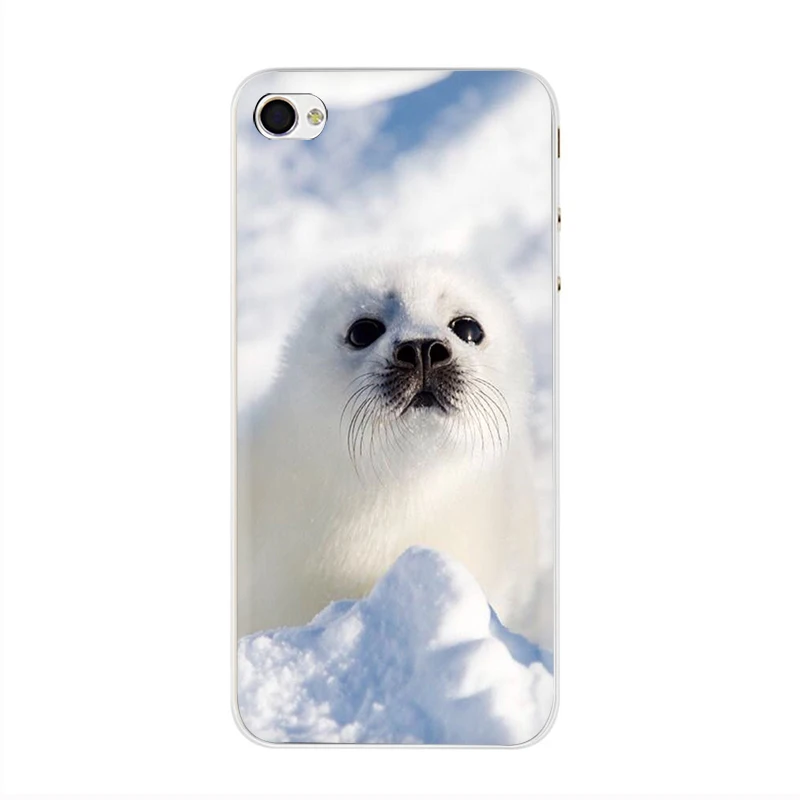 Жесткий чехол для телефона EWAU Baby harp Seal Sea Lion чехол для iPhone 5 5S SE 5C 6 6s Plus 7 8 Plus X XR XS 11 Pro MAX - Цвет: H2