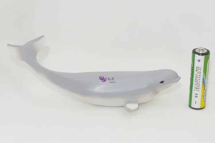 

Marine Organism Baby Beluga Model Oceans Animal Model Finding Nemo Submarine Biological Plastic
