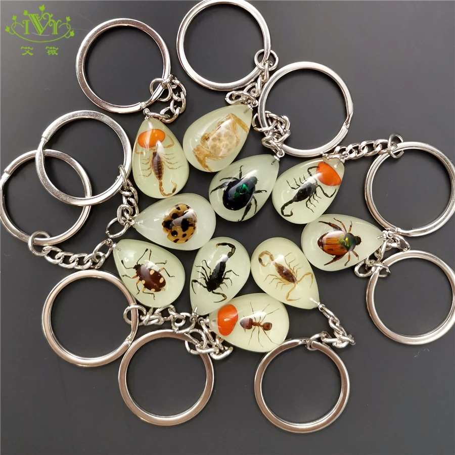 

10pcs Scorpion Crab Keychain Glow in the Dark Real Insect Keychain Beetle Keychains for MenKey Ring Specimens Collecting Trinket