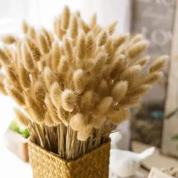 

1Bunch Dried Flower Bunny Tail Natural Plants Floral Decoration Accessories Rabbit Grass Home Bouquet Props Flores Photogra P8O8