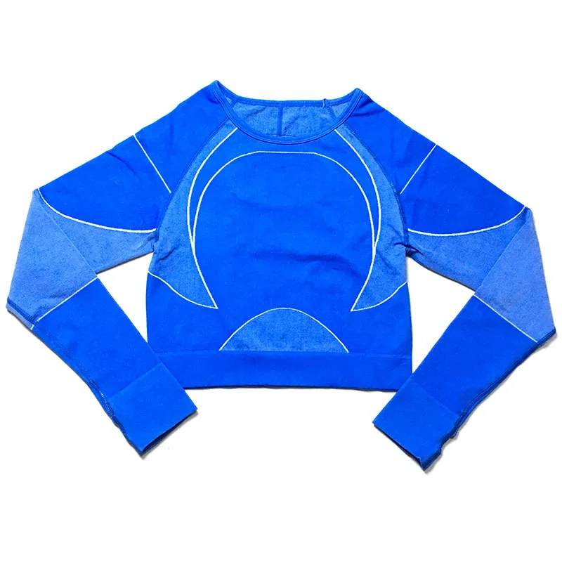 blue tops Одежда для йоги, комплект для тренировок, Женский комплект из 2 предметов, леггинсы и топ, бесшовный комплект для спортзала, женская одежда для активного отдыха, комплект одежды для фитнеса, женская спортивная одежда - Цвет: blue tops