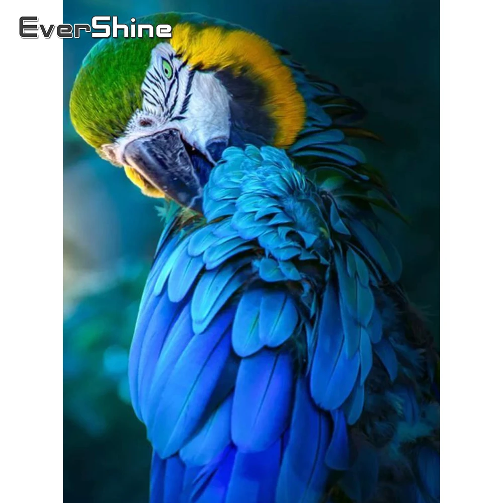 Evershine Алмазная картина полный сверлильный дисплей вышивка бисером c изображением животных полный набор птица горный хрусталь картина