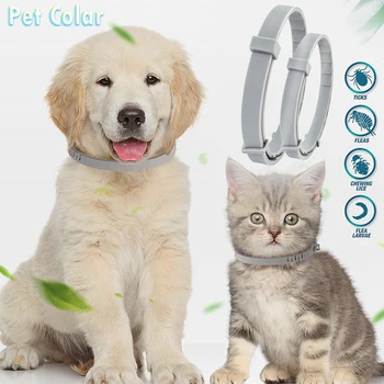 

1PC Pet Flea Collar Adjustable Pet Flea Neck Collar For Dogs Cats Flea And Tick Pet Collar Cat Accessories