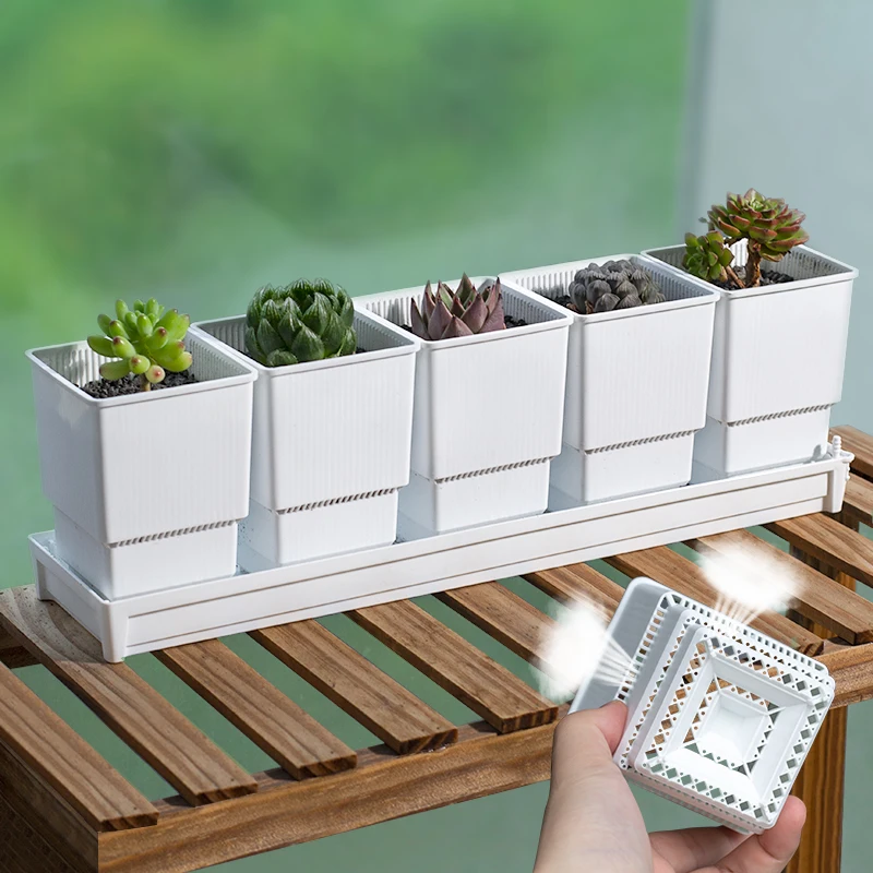 Meshpot Sukkulenten Pflanzer Topf, Sukkulenten Töpfe mit Tablett Kunststoff Kaktus Haworthia Töpfe mit Entwässerung Platz Pflanzen Kindergarten Topf – Detail 1