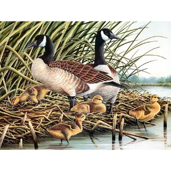 

DIY Diamond Painting landscape 3D Diamond Embroidery wild duck Cross Stitch full square Round mosaic decor rhinestone icon