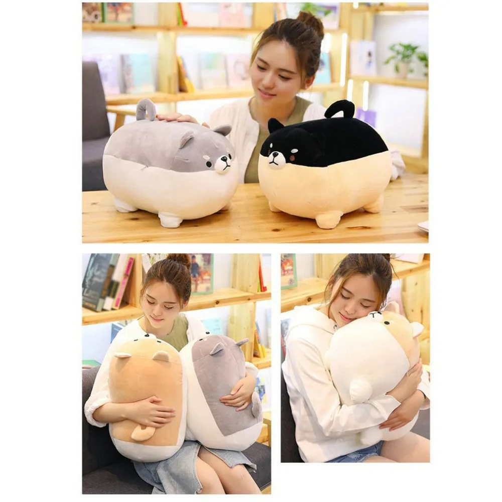 PF184601-C-20062804-1