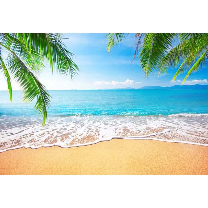 Tropical Beach and Sky Photography Backdrop