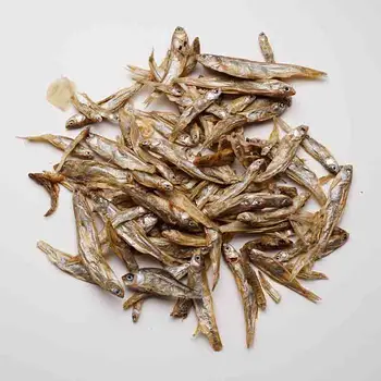 

Brazilian Tortoise Turtle Food Feed Sticks Granules Dried Fish Freshwater Shrimp Bread Worms Reptile Aquarium Terrapin Food Hot