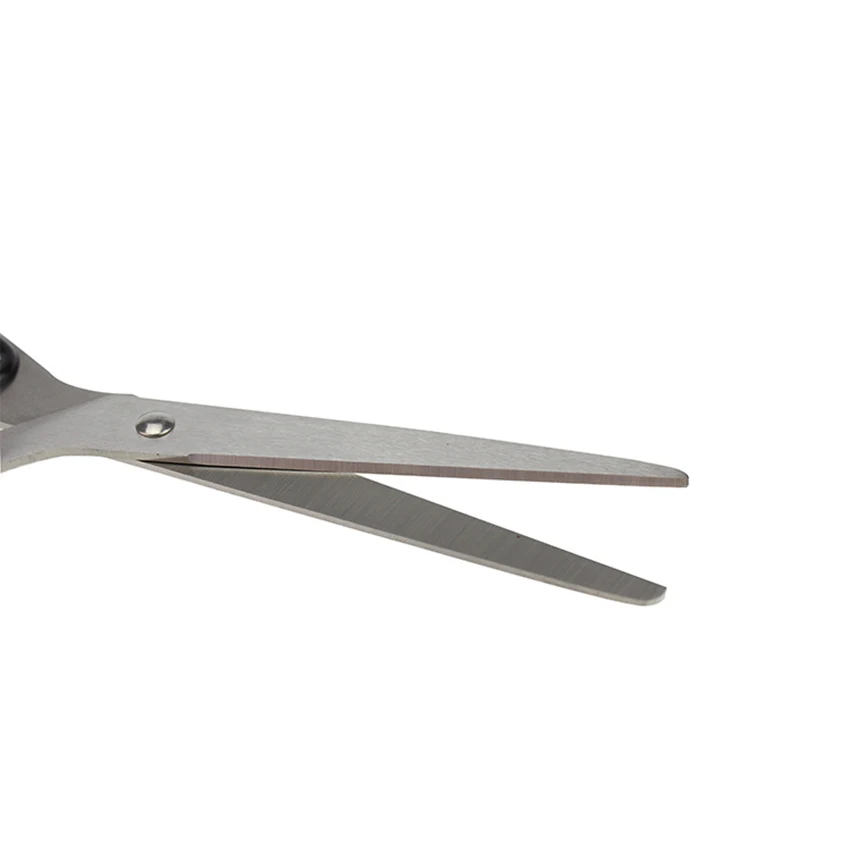 4184242285_1089993774