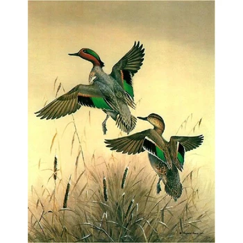 

5D square diamond embroidery Wild duck landscape diamond cross stitch rhinestone diamond painting picture diamond mosaic kit