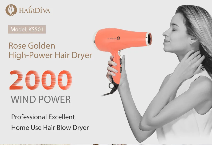 Professional Excellent Home Use Hair Blow Dryer