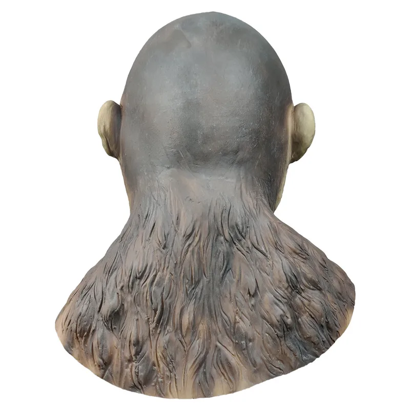 17707251882_1263032356