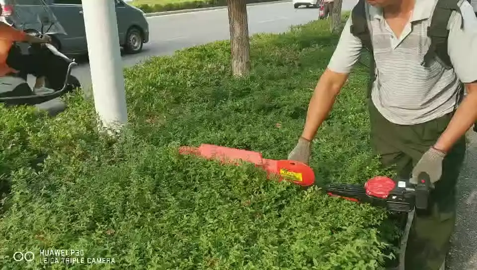Promotion Nplus Multi Usage electric Garden Trimmer Grass Cutter Head Weed Trimmer