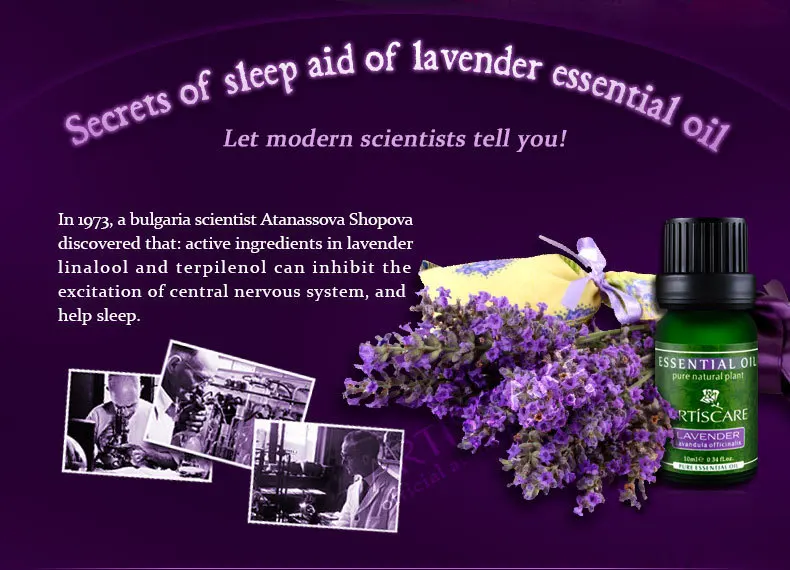 lavender_24