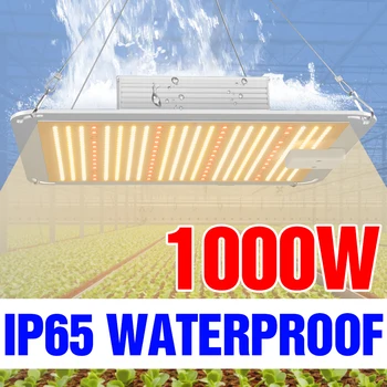 

220V Phyto Light Hydroponics Plants Grow Lamp LED Full Spectrum Quantum Board 1000W 20000W 4000W Growing Box Indoor Greenhouse